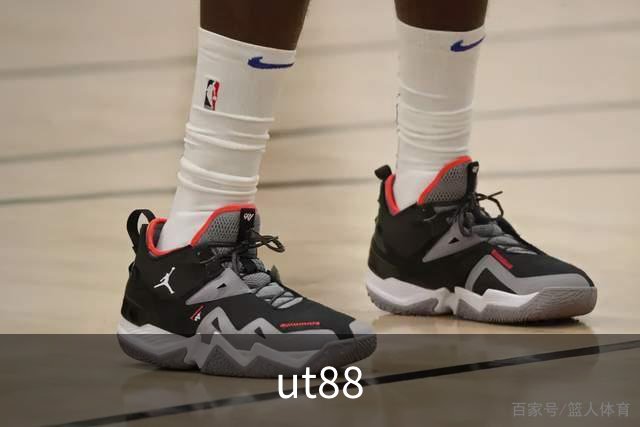 ut88公司简介图片